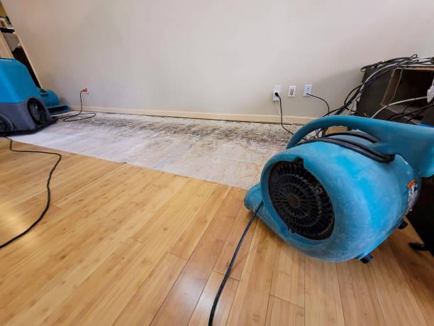 Reliable Basement Flood Cleanup contractor in Rancho Cucamonga, CA by Hirex Water Damage