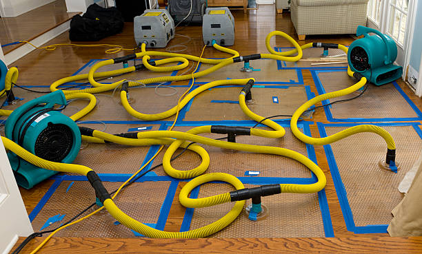 Professional Basement Flood Cleanup technician working in Rancho Cucamonga, CA